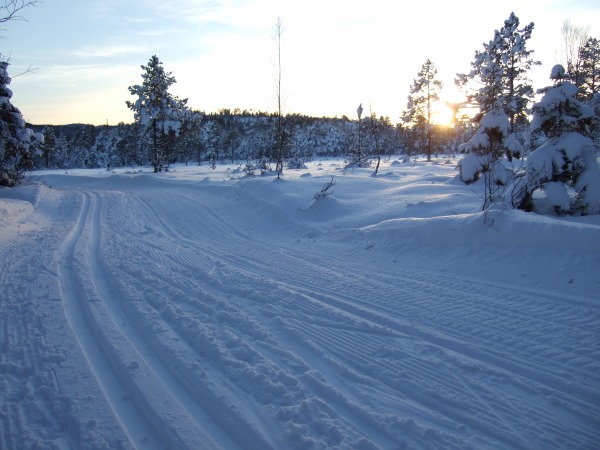 DSCF1835