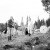 88_10_1579.jpg