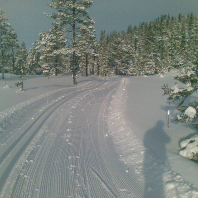 02022008_002_.jpg