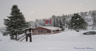20110206_01_1_1.JPG