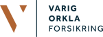 Varig logo orkla 4f 02