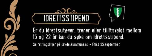 Idrettsstipend