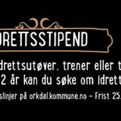 Idrettsstipend