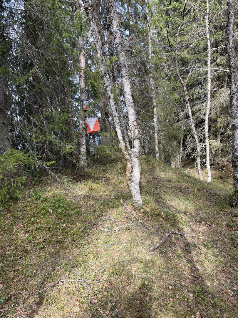 IMG 7291