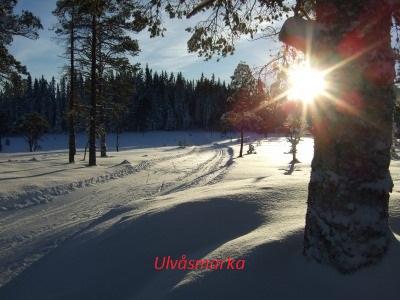 Ulvasmarka