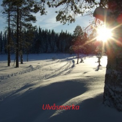 Ulvasmarka