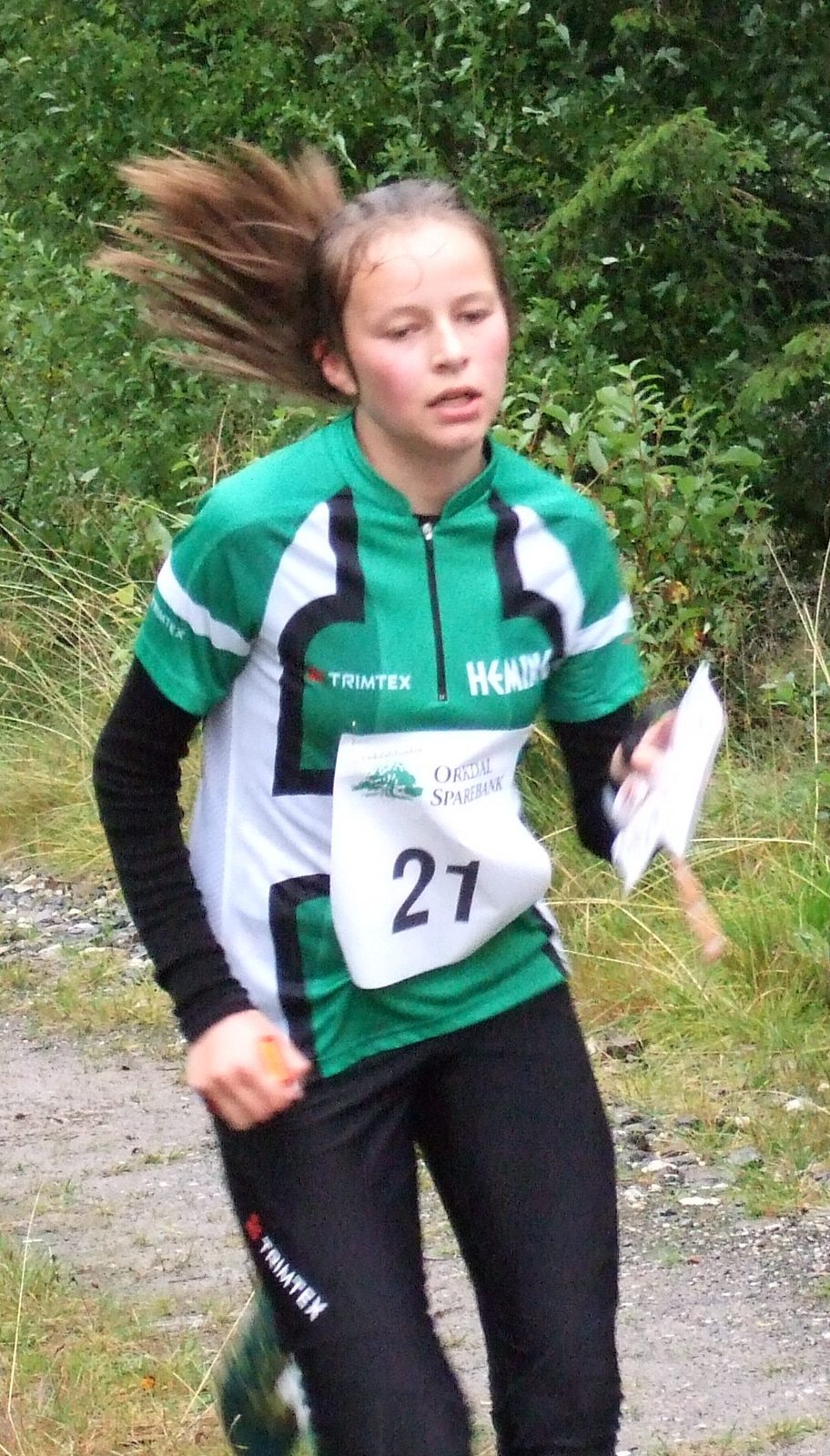 Hedvig Vollset