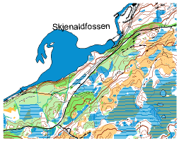 Skjenaldfossen utsnitt