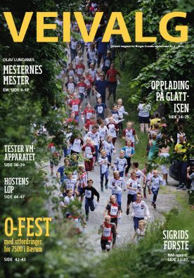 Veivalg 3 2018 276x395