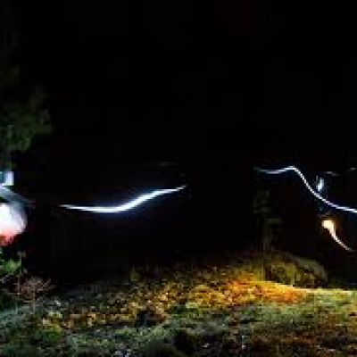 images6