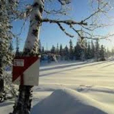 ski O