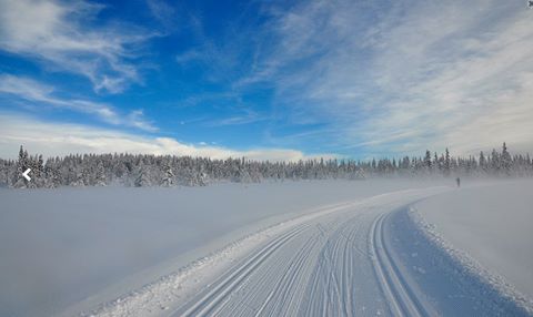 Ulvasmarka