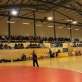 IMG-1898-Large.JPG