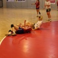 IMG-1905-Large.JPG