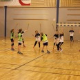 IMG-2025-Large.JPG