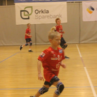 Cup-16.3.2019-13.JPG