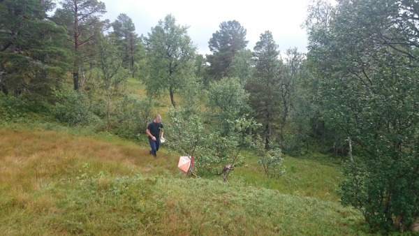Fjell1