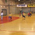 93_15_1647.jpg